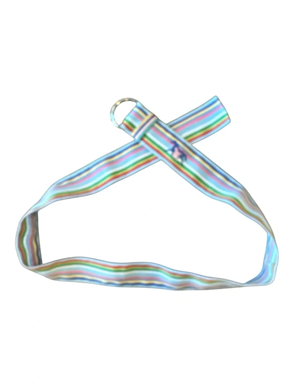 EQ colorful equestrian